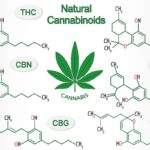 Combining Cannabinoids: The Entourage Effect Explained