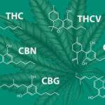 Finding Your Favorite Cannabinoid