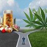 Cannabis: The Potential Replacement For Prescription Drugs