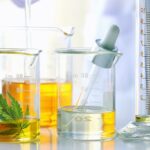 CBD Extraction: From Plant to Product