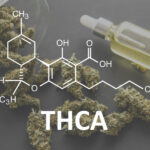 THCA Products: The Next Big Cannabinoid