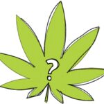 Hemp Products: Are They Dangerous?