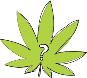 Cannabis Regulations: Cannabis Questions