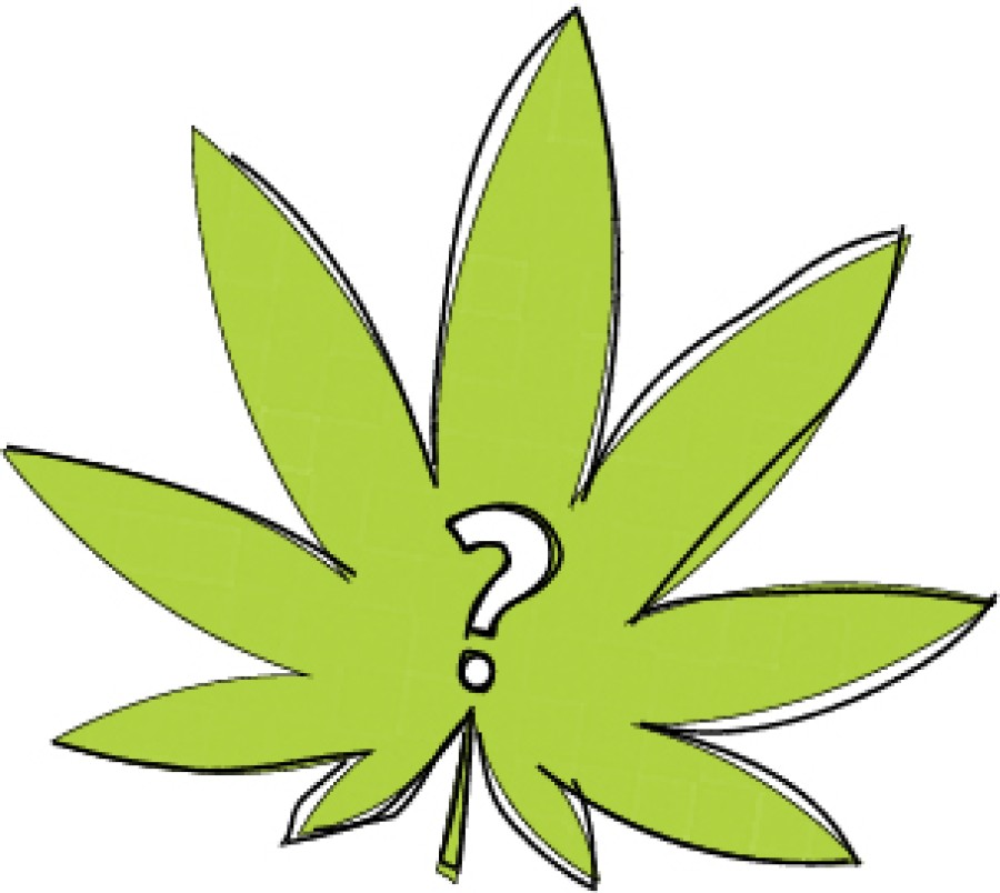 What Is Cannabis: Cannabis 101