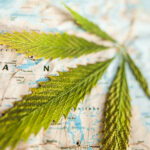 Cannabis Laws Around The World: Part 1
