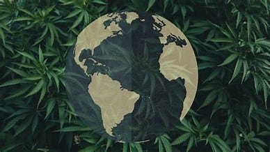 Cannabis Laws Around The World: Part 2