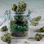 Strains and Cannabinoids: Cannabis 101
